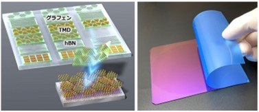 世界初、グラフェンなどの二次元材料テープを開発 | 研究成果